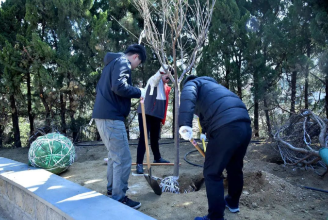 春風(fēng)十里，植下一片綠 | 瑞源控股集團開展2023年植樹節(jié)系列活動
